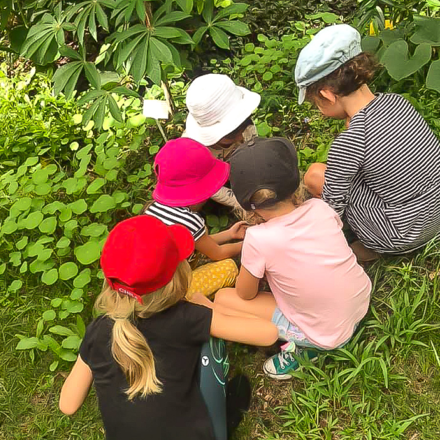 Montessori-Noosa-Image-42